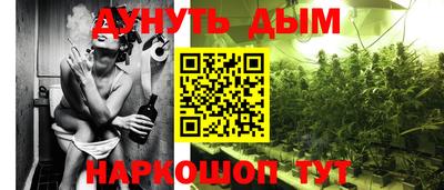 стаф Свободный