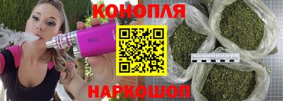 стафф Севастополь
